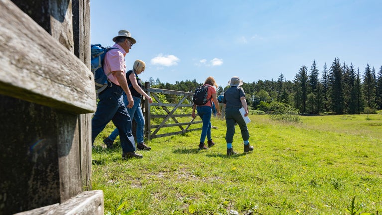 A group of visitors experiencing a guided walk through countryside and fields